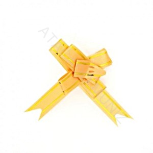 LACO FACIL UAU COM 10 UNIDADES CORES