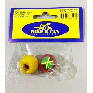 TAMPA DE VALVULA SORTIDA 2 UNIDADE