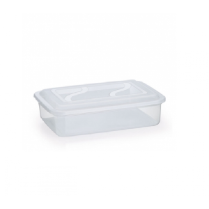 CONTAINER ORGANIZADOR 2,8 LITROS